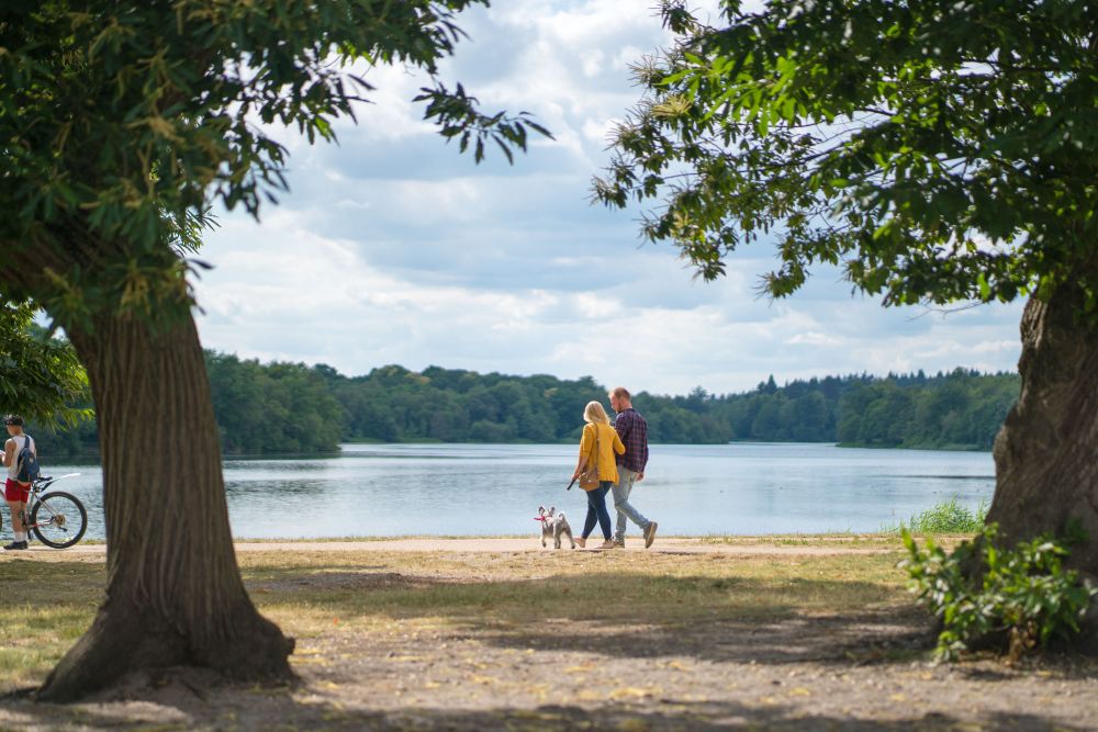 Walkers in Virginia Water, Windsor Great Park